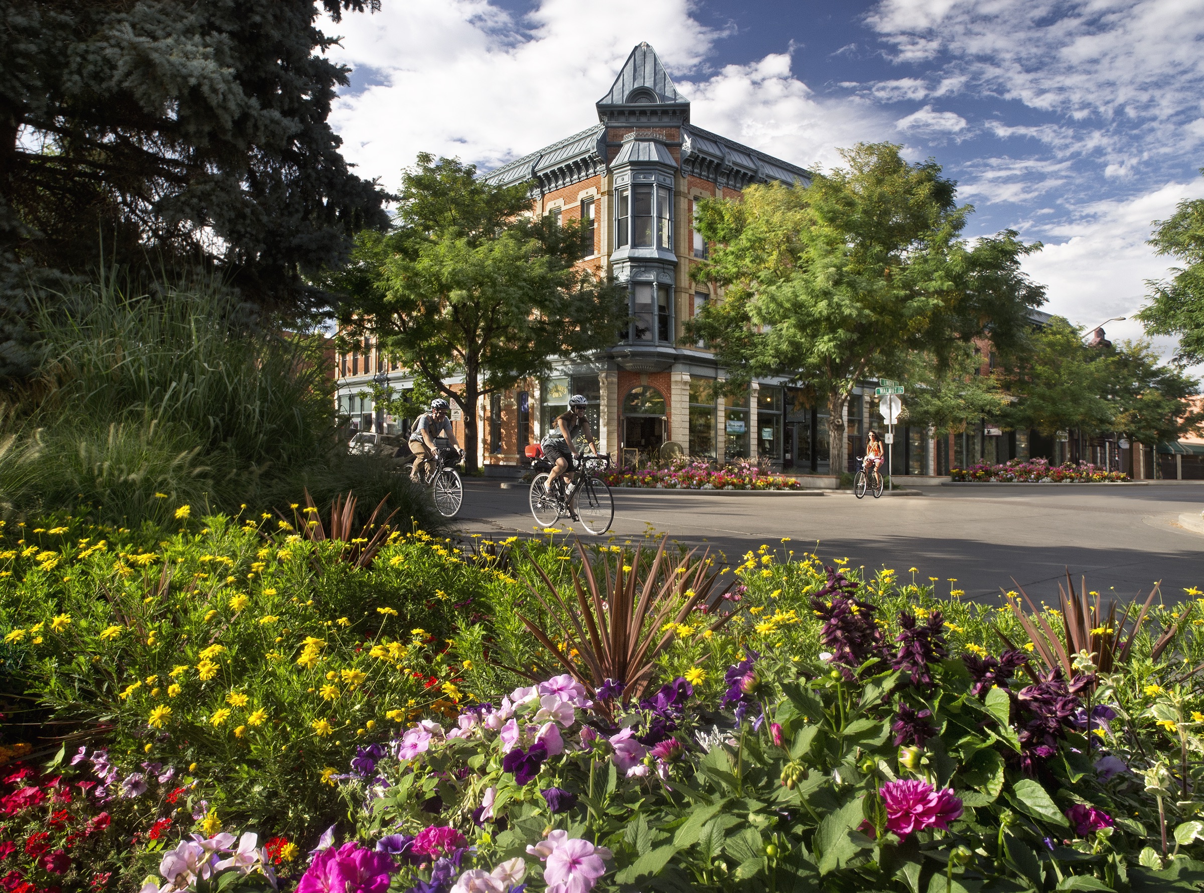 Professional roofing services in Fort Collins, Colorado by BuildFlow Construction